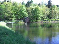 Umgebung Clausthal-Zellerfeld, Teich