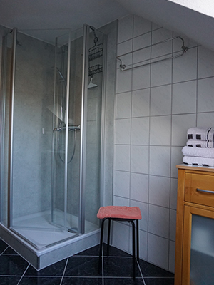 Badezimmer, Dusche